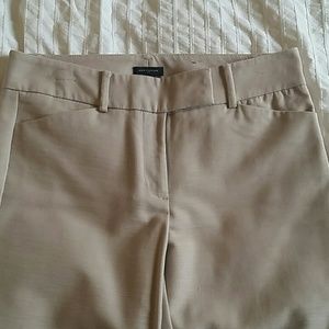 Ann Taylor dress pants